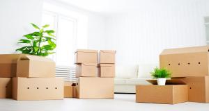 Cardboard Boxes Design by My Box Pacakging