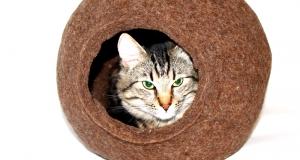 Cat Bed Cat House Cat Furniture Pet Bed 100% Wool