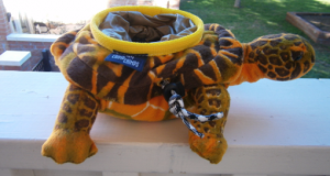 Box Turtle Chalk Bag