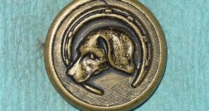 Dog's Head