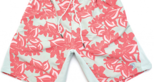 Graphic Board Shorts