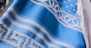 Blue Embroidery
