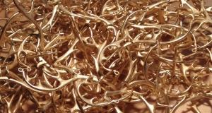 Gold Plated Antlers
