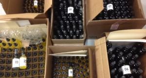 Bottling Perfumes