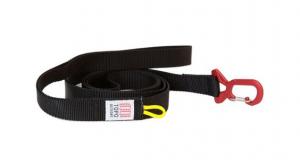 Dog Leash
