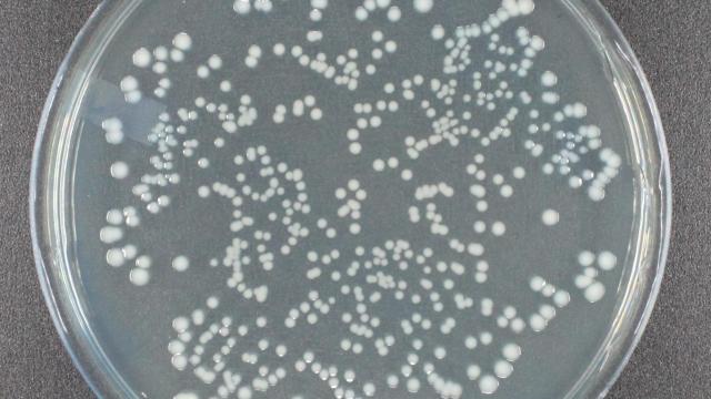 Vartest Laboratories facility photograph