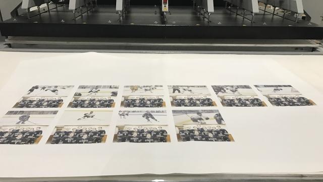 Dye Hard facility photograph