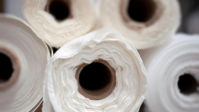 Papilio Prints, LLC facility photograph