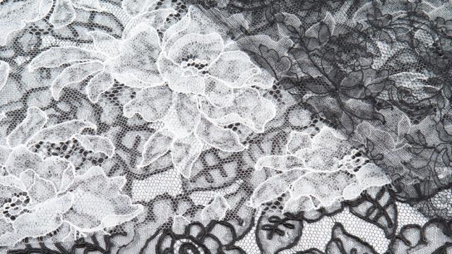 GELMOR LACE facility photograph