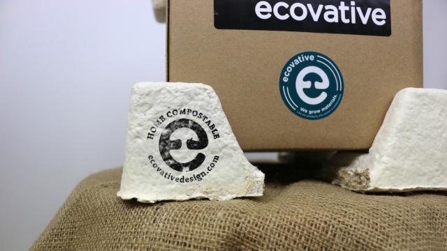 Ecovative facility photograph