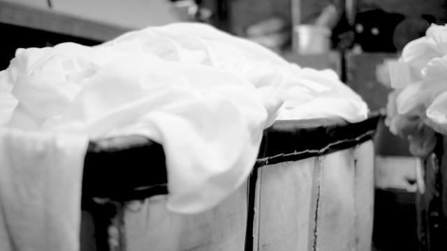 Not Just Lace Dyeing & Washing facility photograph