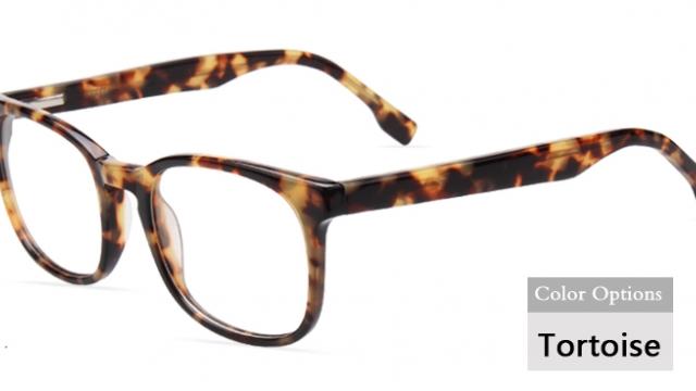 American Eyewear facility photograph