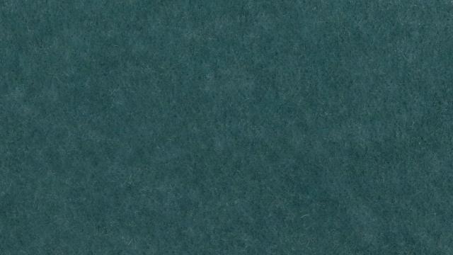 LFF facility photograph