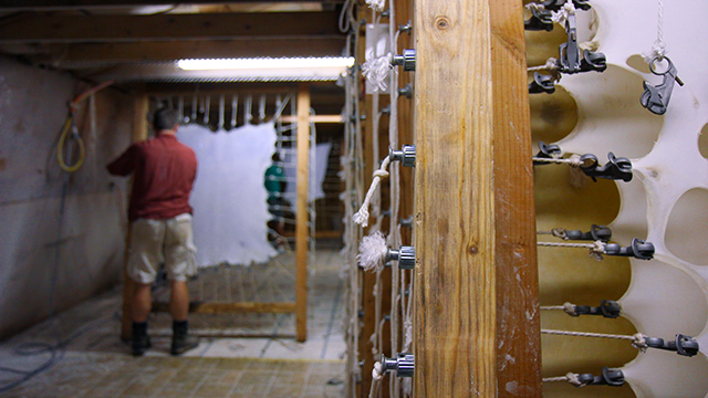 Pergamena Leather Supplier facility photograph