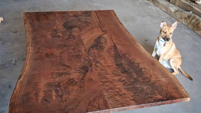 Where Wood Meets Steel facility photograph