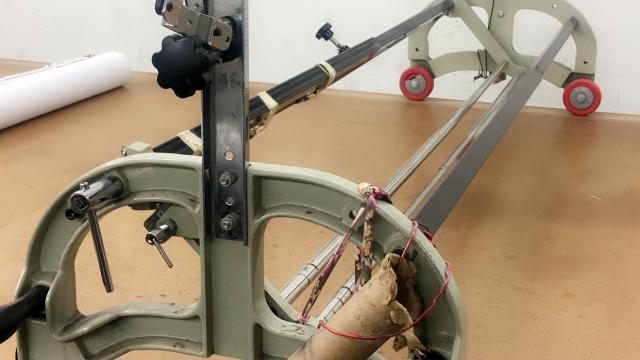 BELLAS FASHION CS INC facility photograph
