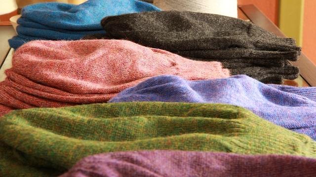 Evolution Knitwear facility photograph