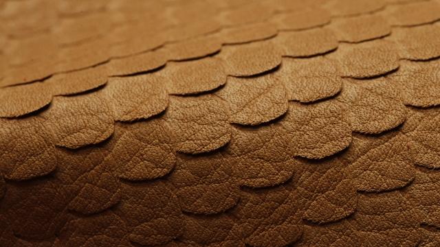 Rainbow Leather, Inc. facility photograph