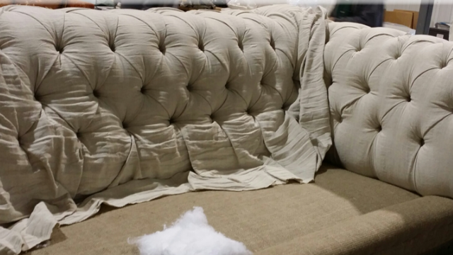 Springfield Furniture Manufacturing facility photograph