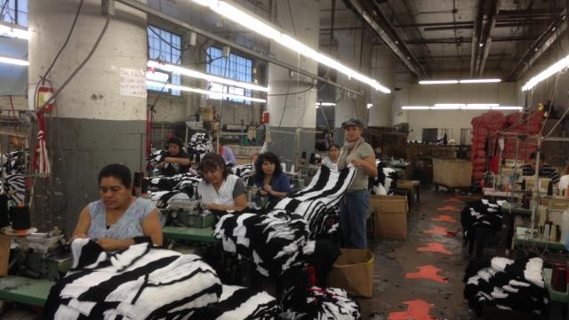 Accurate Knitting facility photograph