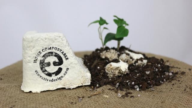 Ecovative facility photograph