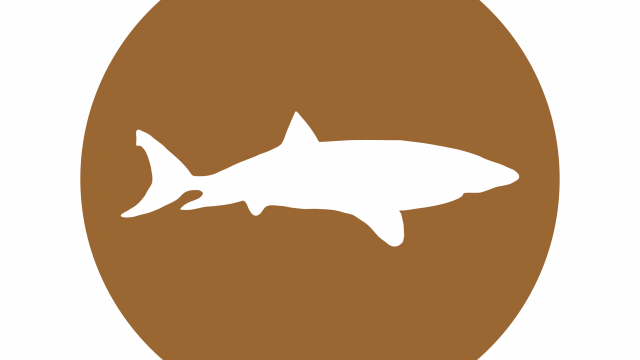 Mudshark Studios facility photograph