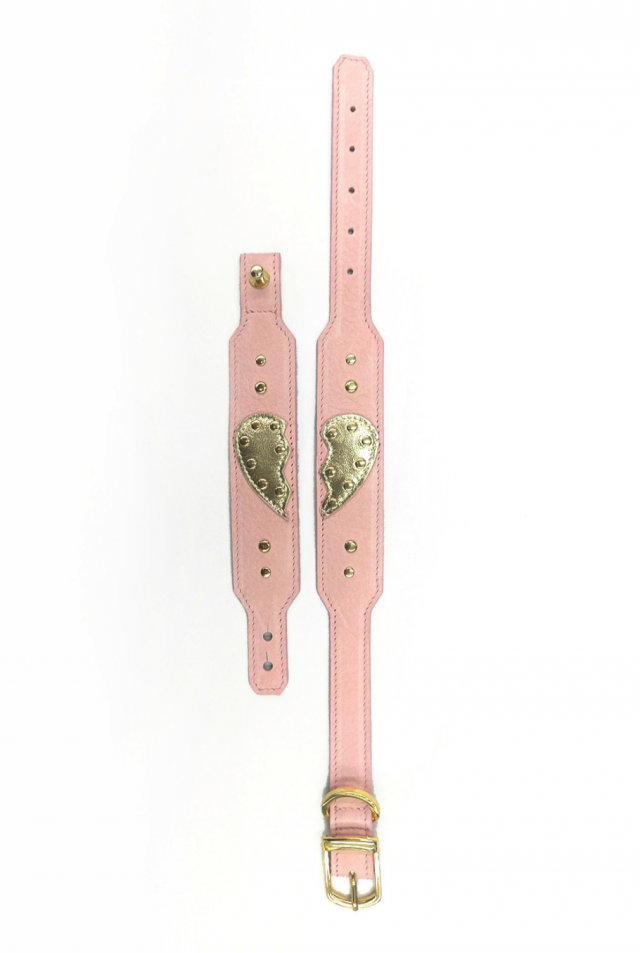 Studded Dog Collar
