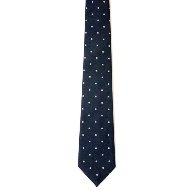 Blue Dot Patterned Neck Tie