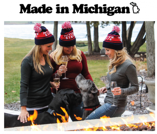 THE MITTEN STATE