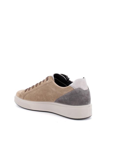 Sneakers sesamo in pelle scamosciata con lacci e zip laterale IGI&CO | Scarpa | 6635122SESAMO