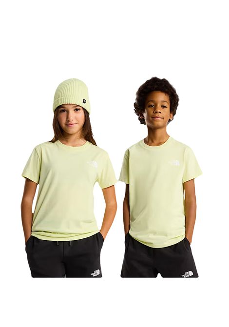 T-shirt THE NORTH FACE bambino 87T4 Simple Dome Cedro THE NORTH FACE | T-shirt | 87T42EL1