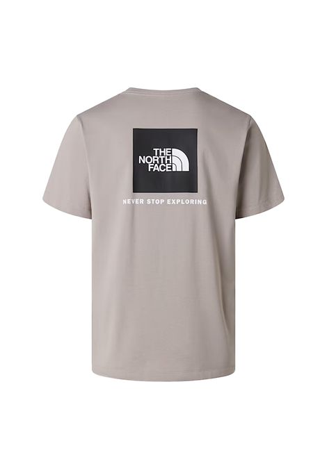T-shirt THE NORTH FACE uomo Evolution NSE Box Regular 8B6K Stone THE NORTH FACE | T-shirt | 8B6K2MB1