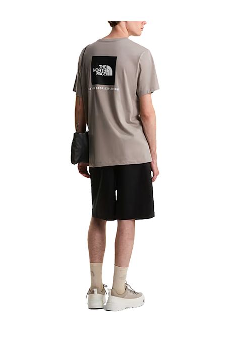 T-shirt THE NORTH FACE uomo Evolution NSE Box Regular 8B6K Stone THE NORTH FACE | T-shirt | 8B6K2MB1