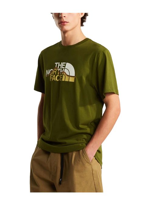 T-shirt THE NORTH FACE uomo 8GUX Verde THE NORTH FACE | T-shirt | 8GUXBRI1