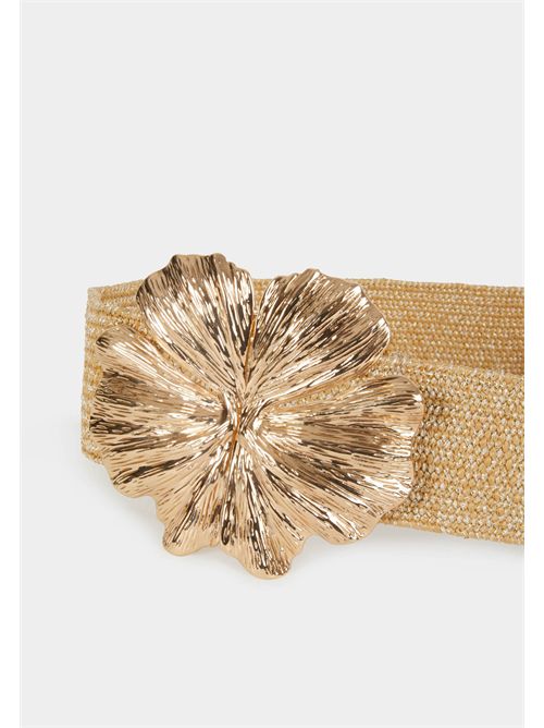  MORGAN DE TOI | 3FLEURJAUNE OR