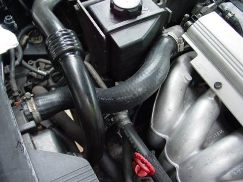 top_radiator_hose