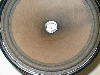 speaker before removal of the tweeter support
