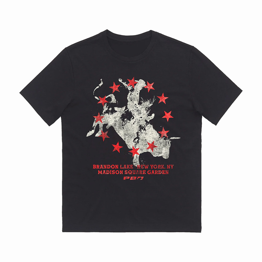 Brandon Lake x PBR Rider Madison Square Garden T-Shirt Brandon Lake Clothes Best Gift For Boyfriend