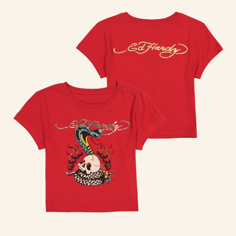 Ed Hardy Merch Flame Cobra Baby Tee Ed Hardy Shirt Gifts For Sister In Law