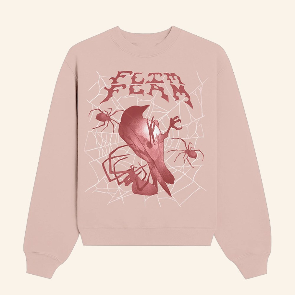 Flim Flam Merch Bird Web Sweatshirt Christmas Present Ideas For Wife