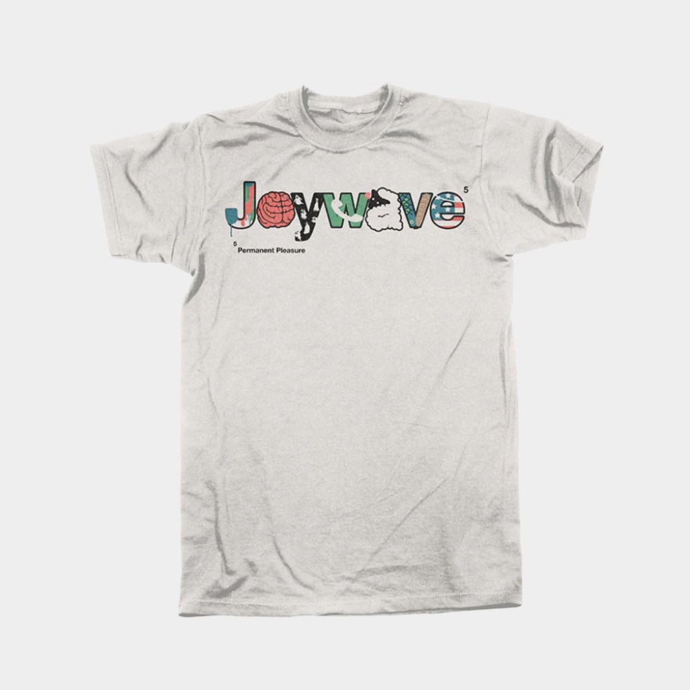 Joywave Merch Footnote 5 T-Shirt Unique Gifts For Music Lovers