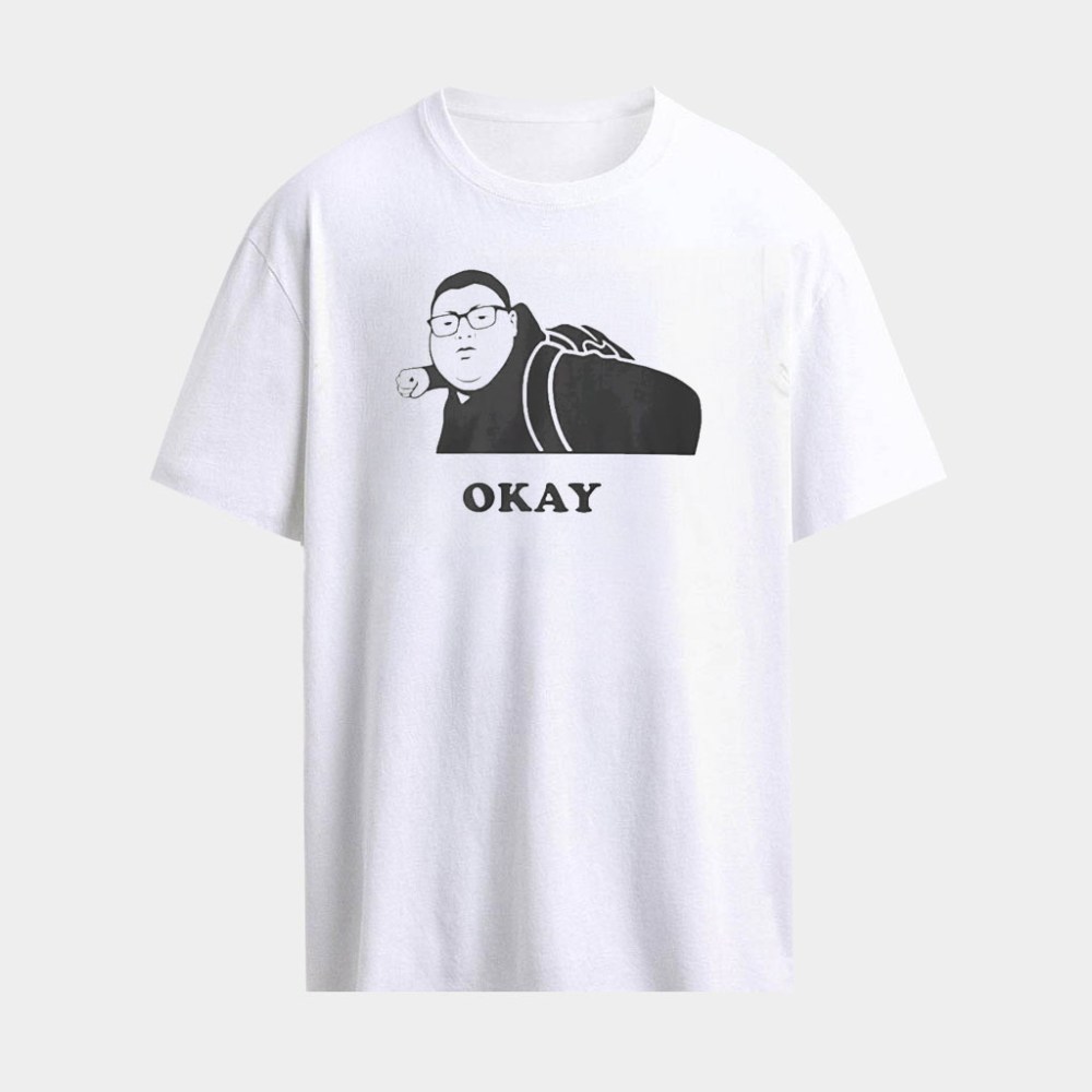 Kid Punches A Nazi I Love ICE Shirt Okay Punch T-Shirt Political Gifts