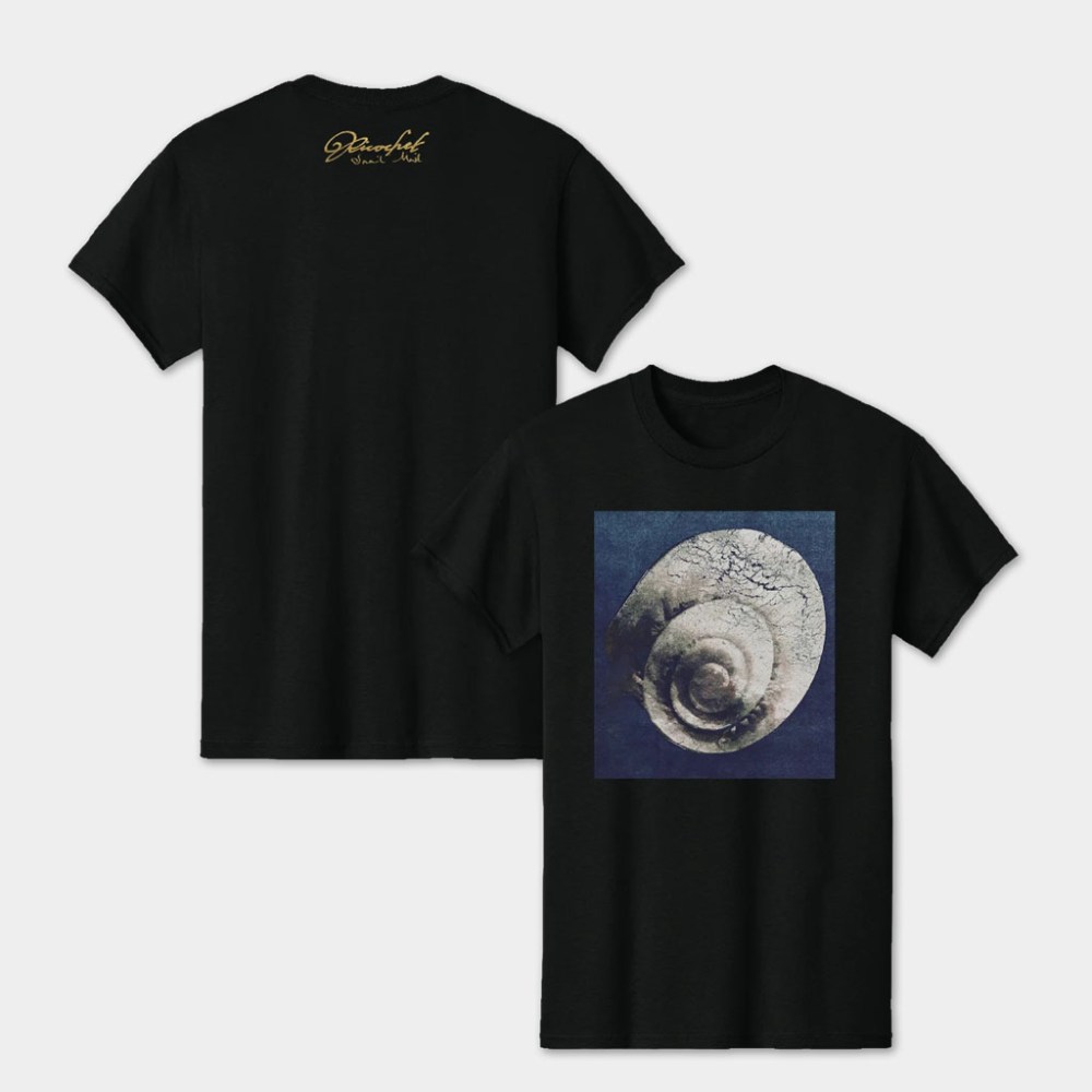 Kung Fu Merch Snail Mail Album Cover T-Shirt Best Gifts For Kung Fu Lovers