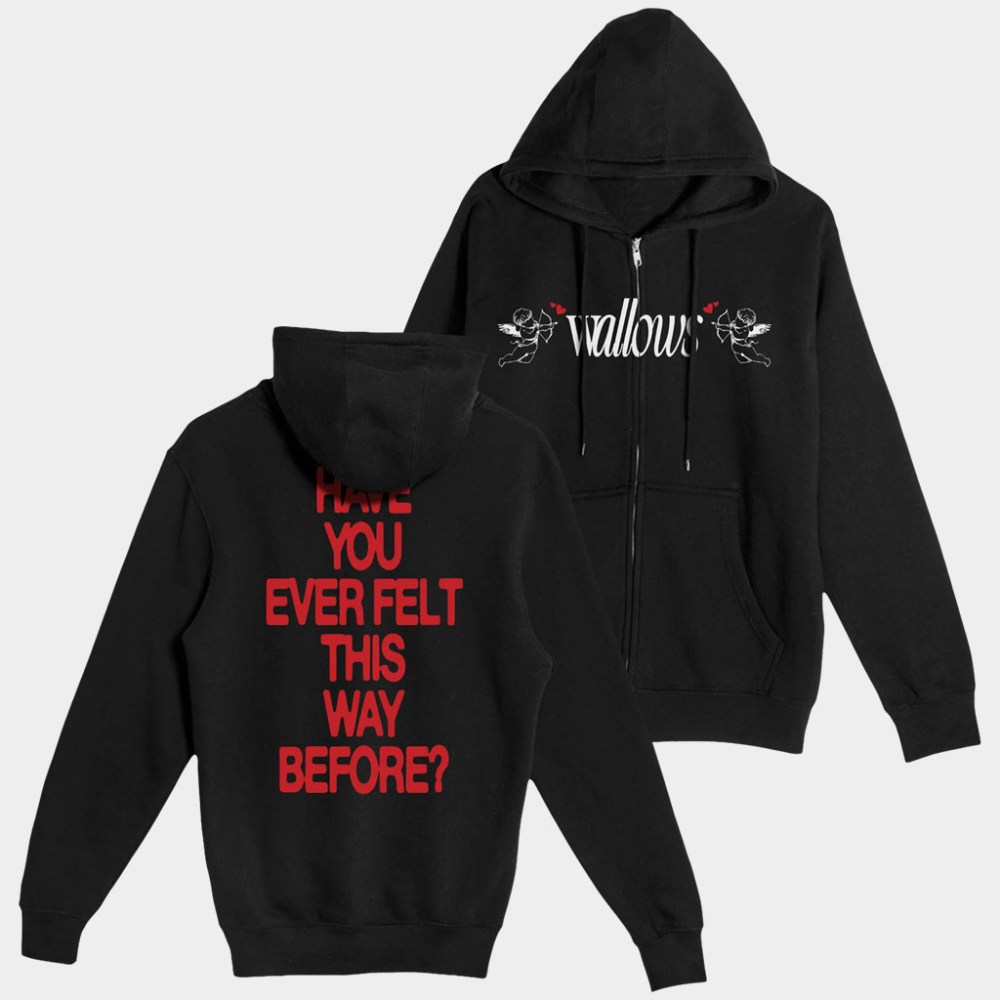 Wallows Merch Angel Wallows Zip Hoodie Have You Ever Felt This Way Before Hoodie Rock Fan Gifts