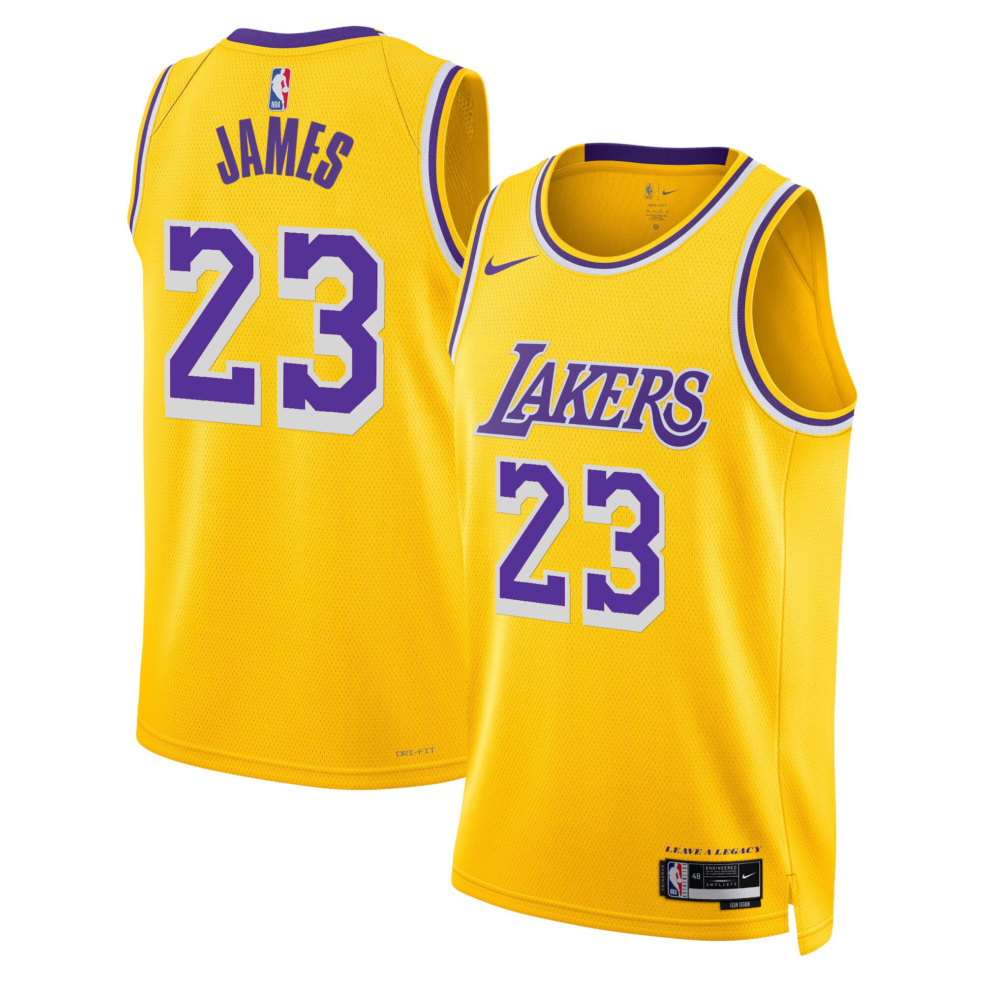 LeBron James Men's Los Angeles Lakers Swingman Icon Jersey - All Stitched