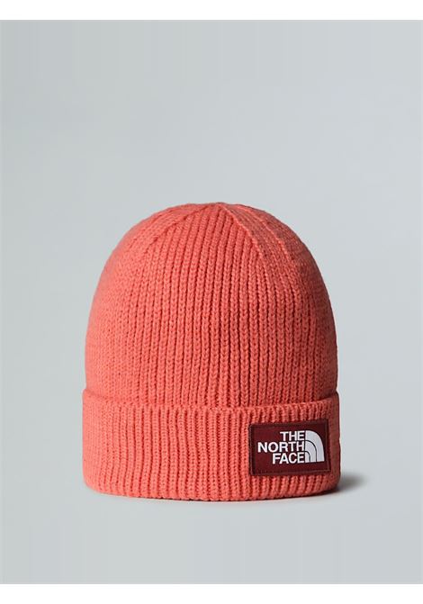 Berretto in maglia The North Face | Cappello | NF0A8CHEEED1