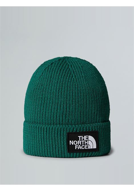 Berretto in maglia The North Face | Cappello | NF0A8CHENL11