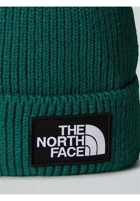 Berretto in maglia The North Face | Cappello | NF0A8CHENL11