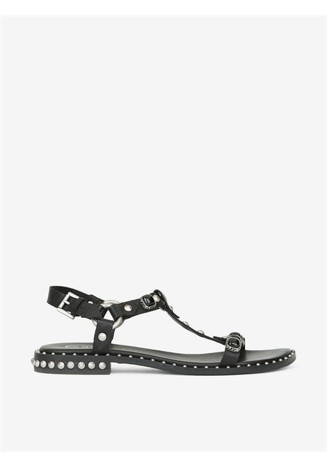 Sandalo in pelle Ash | Sandali | PODIUM01