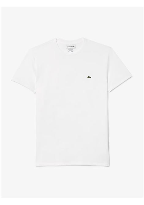 T-shirt in cotone Lacoste | T-shirt | TH6709001